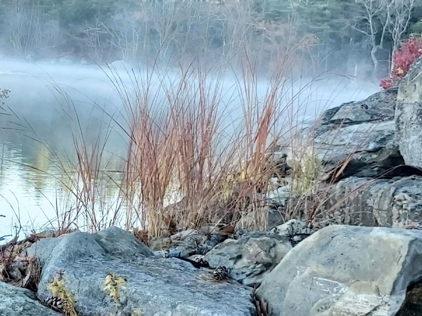 23. misty morning 1